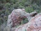 photo thumbnail #2