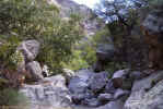 photo thumbnail #12