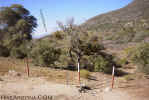 photo thumbnail #1