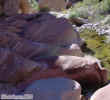 photo thumbnail #9