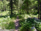 photo thumbnail #1