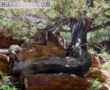 photo thumbnail #8