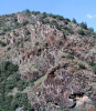 photo thumbnail #5