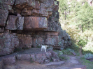 photo thumbnail #6