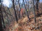 photo thumbnail #7