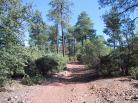 photo thumbnail #11