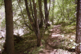 photo thumbnail #15