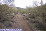 photo thumbnail #8