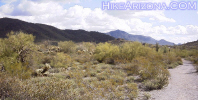 photo thumbnail #11