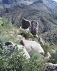 photo thumbnail #12