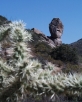 photo thumbnail #15
