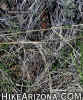 photo thumbnail #11