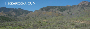 photo thumbnail #4