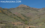 photo thumbnail #5