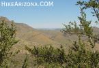 photo thumbnail #6