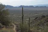 photo thumbnail #5