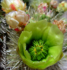 photo thumbnail #2