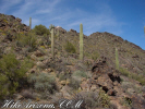 photo thumbnail #4