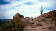 photo thumbnail #7