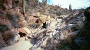 photo thumbnail #11