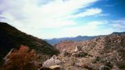 photo thumbnail #15