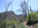 photo thumbnail #3