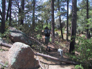 photo thumbnail #4
