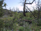photo thumbnail #5