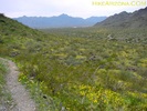 photo thumbnail #6