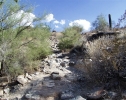 photo thumbnail #2