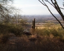 photo thumbnail #12