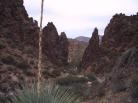 photo thumbnail #1