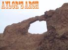 photo thumbnail #10