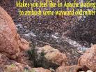 photo thumbnail #15