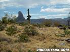 photo thumbnail #3