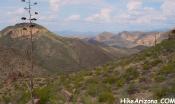 photo thumbnail #1