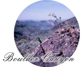 photo thumbnail #1