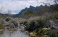 photo thumbnail #11