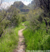 photo thumbnail #15