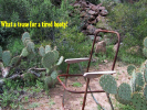 photo thumbnail #10