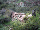 photo thumbnail #11