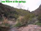 photo thumbnail #9