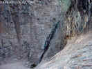 photo thumbnail #14