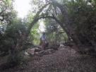 photo thumbnail #12