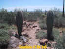 photo thumbnail #5