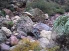 photo thumbnail #6