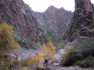 photo thumbnail #11