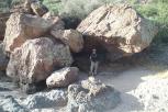 photo thumbnail #4