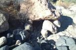 photo thumbnail #4