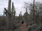 photo thumbnail #5